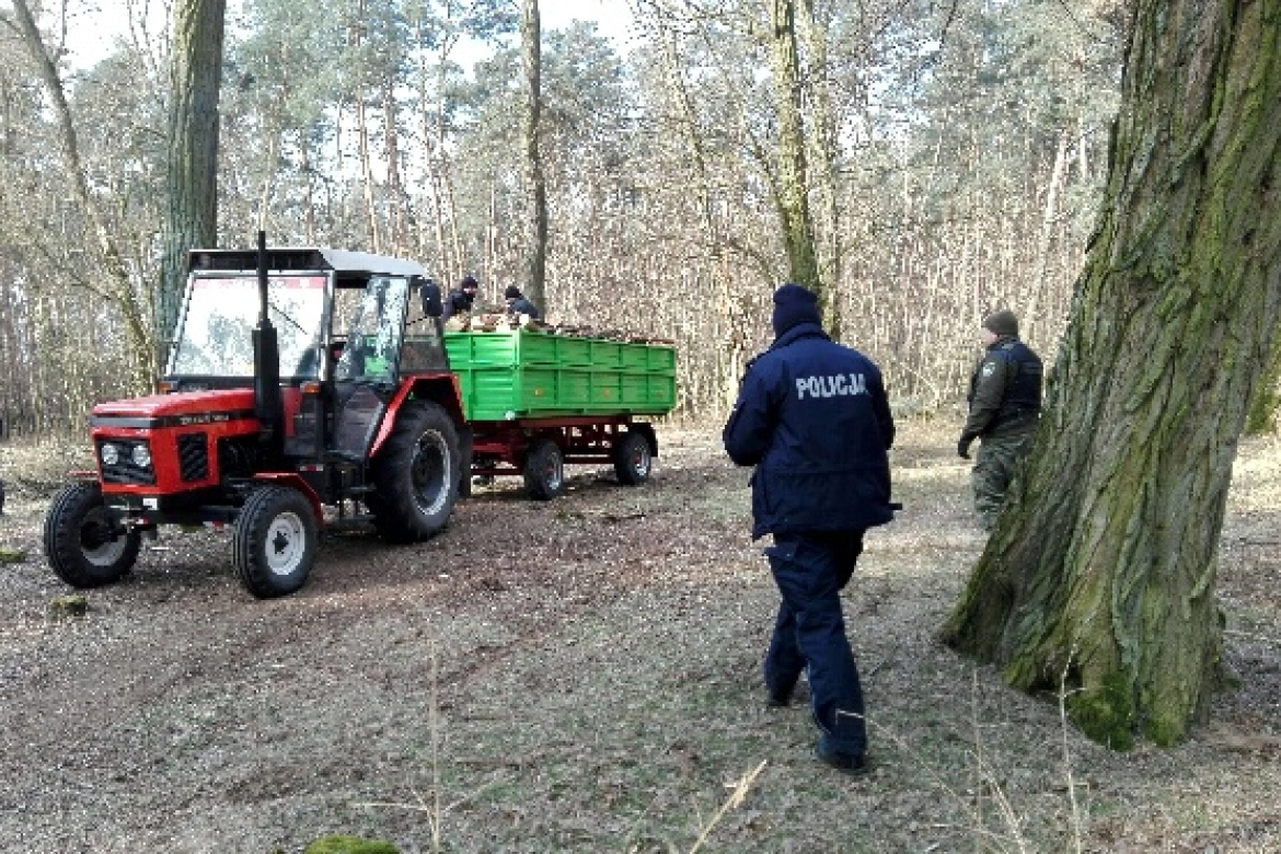 Funkcjonariusze sprawdzali legalność wywożonego drewna. Fot. KPP Środa