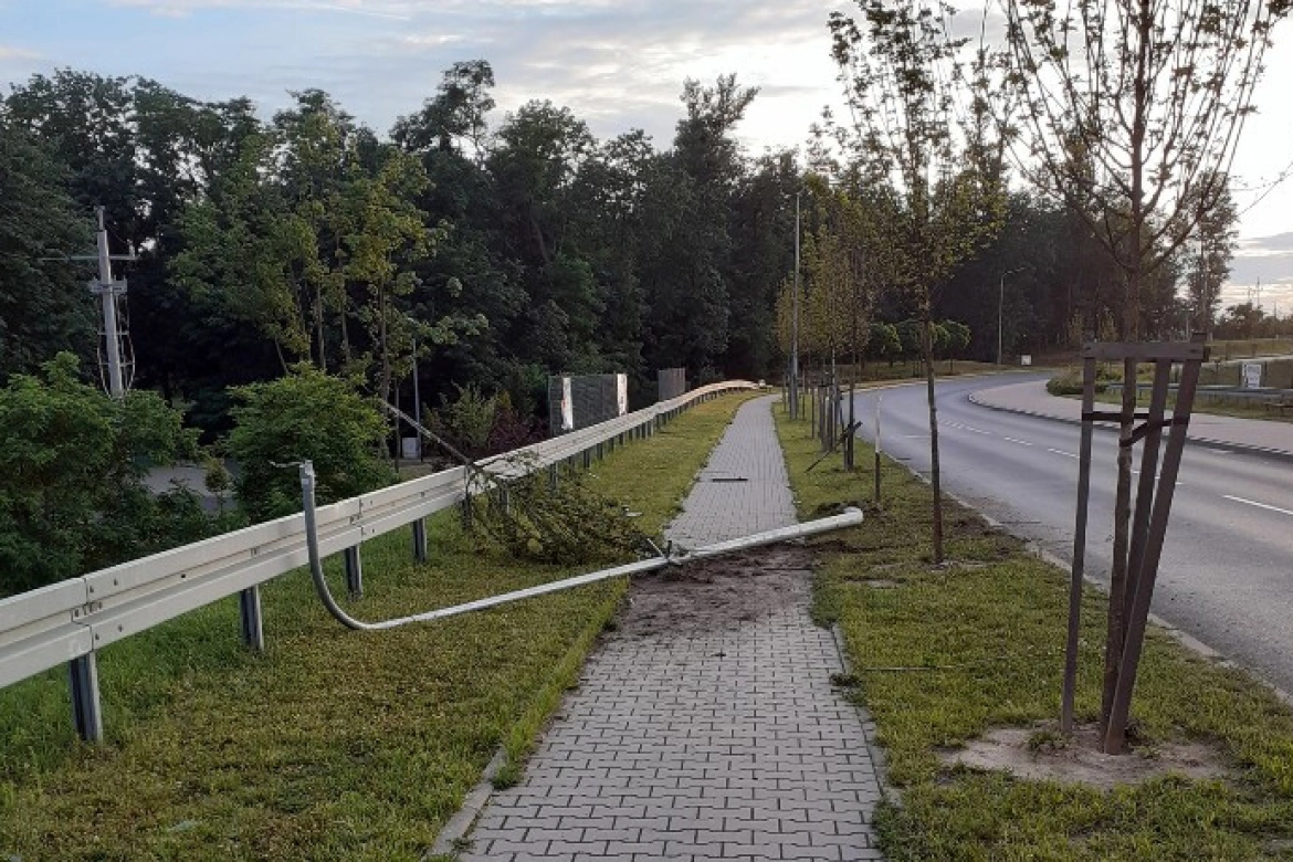 Zniszczona lampa i drzewo na ul. Dmowskiego 